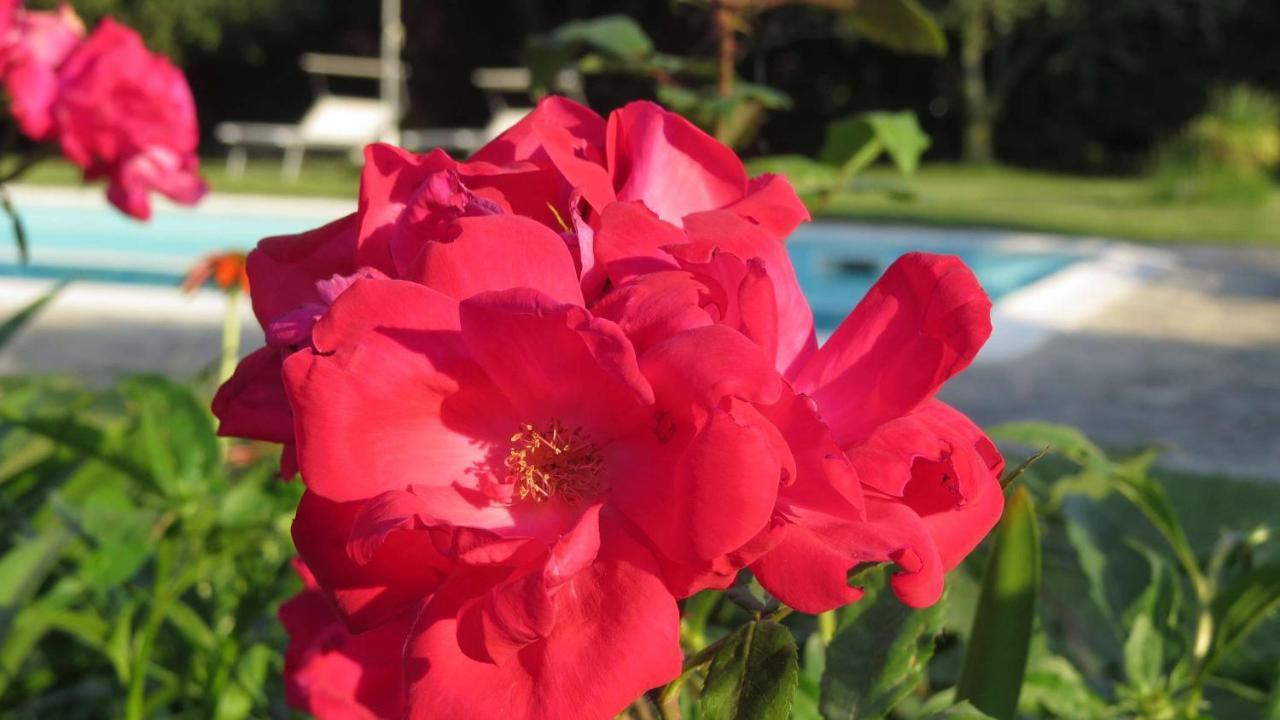 로나토 Il Gelso Di Barcuzzi B&B 외부 사진