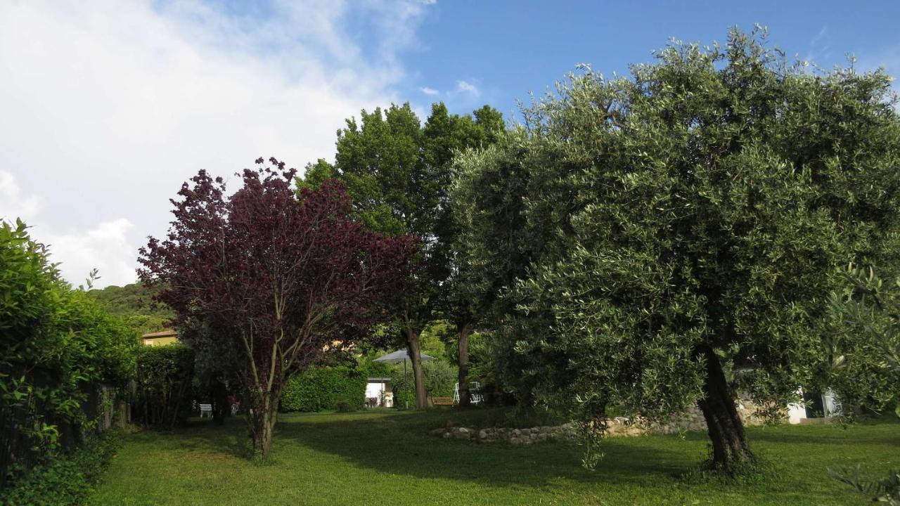 로나토 Il Gelso Di Barcuzzi B&B 외부 사진