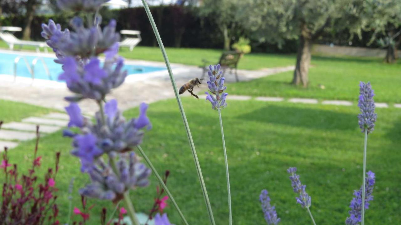 로나토 Il Gelso Di Barcuzzi B&B 외부 사진