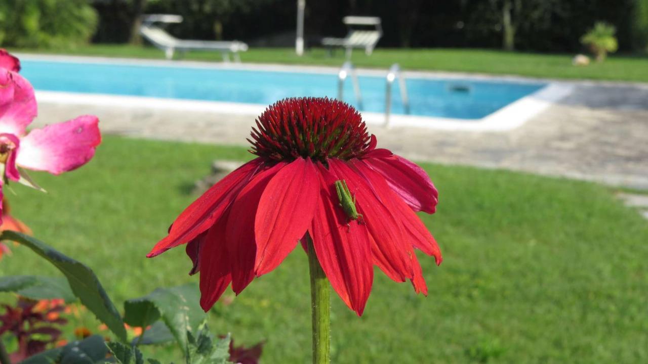 로나토 Il Gelso Di Barcuzzi B&B 외부 사진